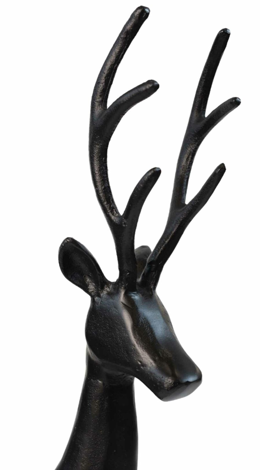 CJB17_Nero_Jelen_2_XL3